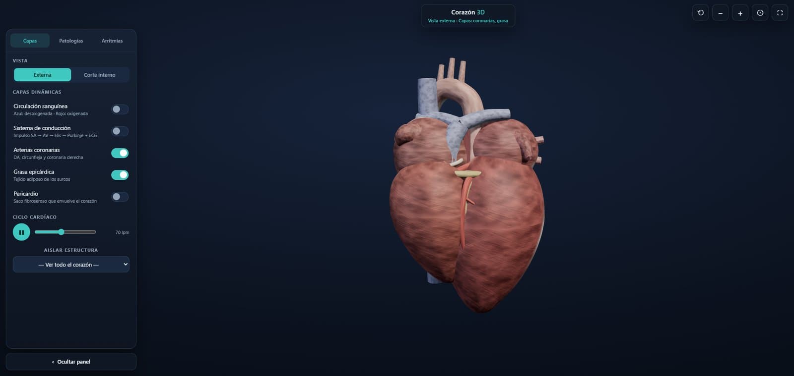 Corazón 3D de CardioKi en la aplicación, con el panel de capas dinámicas, las arterias coronarias resaltadas y el ciclo cardíaco animado a 70 lpm